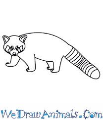 Draw two dots for eyes. How To Draw A Red Panda