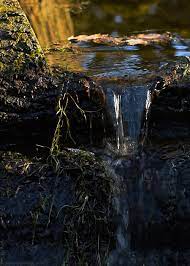 Maybe you would like to learn more about one of these? Nature Is So Relaxing And Awesome Oh My God Waterfall Nature Beautiful Nature