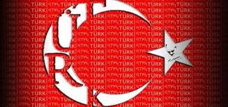Turk Bayragi Tarihi Ve Tarihcesi Turk Bayraklari Bayrak Turkler Tarih