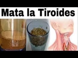 No Mas Pastillas Para La Tiroides La Puedes Curar Con Semillas De Cilantro En Solo 8 Dias Youtube Tiroides Remedios Te De Canela Y Laurel