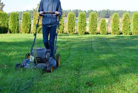 When purchasing a carbon monoxide detector there are a few things you should know. That Fresh Cut Grass Smell Is A Distress Signal Mental Floss