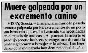Noticias Curiosas De Hoy Frases Divertidas Vinetas De Humor Humor Grafico