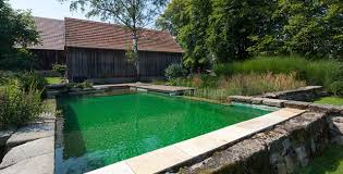 Biotop Swimming Teich Es Plan Garten Outdoor Dekorationen Teich Garten
