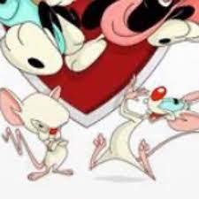 Check spelling or type a new query. Stream Pinky And The Brain Theme Song 2020 By Caprisun Fanatic Listen Online For Free On Soundcloud