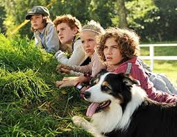 Pour résoudre cette énigme, les quatre enfants accompagnés du fidèle chien dagobert décident de former le club des cinq et partent explorer des lieux mystérieux et insolites. Le Club Des Cinq En Peril Film Programme Tv Replay