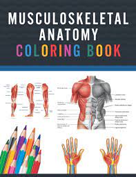 Elizabeth quinn is an exercise physiologist, sports medicine writer, and fitness consultan. Musculoskeletal Anatomy Coloring Book Now You Can Learn And Master The Muscular System With Ease While Having Fun Kinesiology Of The Musculoskeletal System Skeletal System Coloring Book Kinesiology Anatomy Coloring Book