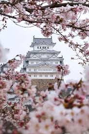  Buildings Structures Carvings Stone Works Lakes Gardens Photos By Sifu Derek Frearson Bunga Sakura Wisata Jepang Pemandangan