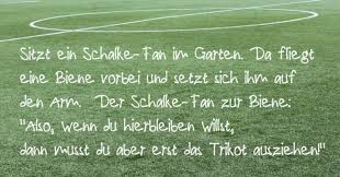 Der fc schalke 04 ist auf dem boden der tatsachen angekommen. Bildergalerie Die 10 Fiesesten Anti Schalke Witze Fur Whatsapp Freeware De Bild 8