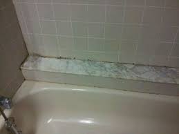 One Busy Mom The Random Rantings Of One Busy Mom Mold In Bathroom Shower Mold Mold Remover