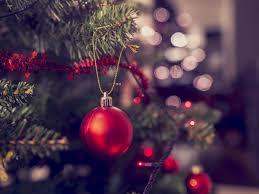 Check spelling or type a new query. Every Christmas Tree Worth Visiting In The D C Area Curbed Dc