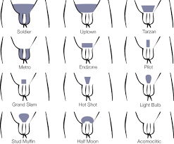 Pubic hair distribution study categorizes four types of pubic hair patterns and. Types Of Pubic Hair Cuts Men Style Tips News Tips Guides Glamour And We Show You The Most Popular Types Of Haircuts For Men As Well Delrosario40108