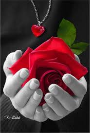 Image Result For Romantic Good Morning Rose Flower Guzellik Kadin Kelebekler