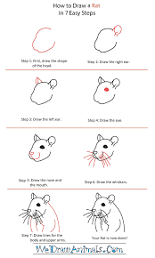 How To Draw A Rat Head