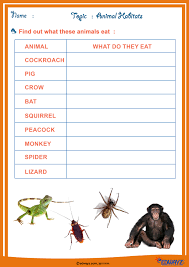 Freeworksheets Class2 Animals Edwayz Evs Science Worksheets Middle School Science 2nd Grade Worksheets