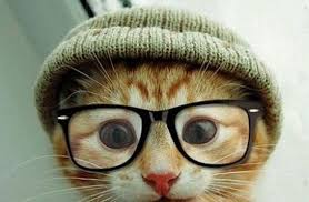 Kedi Goz Hastaliklari Nelerdir Kediler Gen Tr