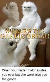 Persian Cat Room Guardian Memes Funny Cat Memes Persian Cat Room Guardian