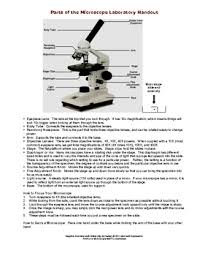 They almost always consist of 4x, 10x, 40x and 100x powers. Parts Of The Microscope Laboratory Handout By Science4all Tpt