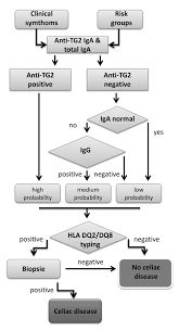 Recommendations of the north american society for pediatric gastroenterology,hepatology and nutrition. Celiac Disease And Other Autoimmune Disorders Intechopen