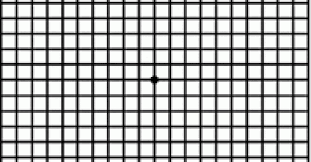 Check Your Vision The Amsler Grid Cnib