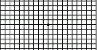 check your vision the amsler grid cnib