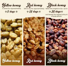 What Makes It So Special Coffee Recipes Coffee Tasting Honey Coffee
