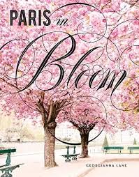 Amazon advertising find, attract, and engage customers: 30 Most Beautiful Travel Coffee Table Books Paulina On The Road