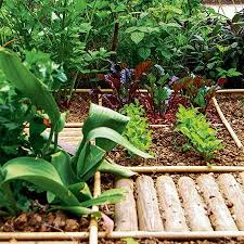 Comment Installer Et Realiser Un Potager Urbain Jardin Potager Petit Potager Potager
