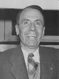 Junction Triangle Prohibition Ghosts