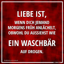 Liebe Ist Wenn Dich Jemand Morgens Fruh Anlachelt Obwohl Du Aussiehst Wie Ein Waschbar Auf Drogen Facebook Spruchbilder Krasse Witzige Lustige Spruche