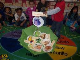 Mrs Wood S Kindergarten Class Rainforest Unit Rainforest Activities Rainforest Preschool Wood Kindergarten