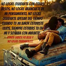 La Fe Nortena No Logre Olvidarte Lyric Quotes Lyrics My Music