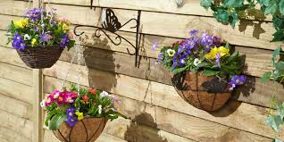 Maybe you would like to learn more about one of these? Hanging Baskets Add Colour To Your Garden Tips From David Domoney