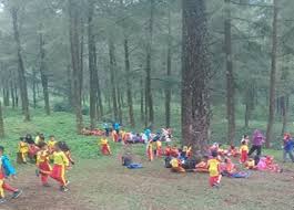 Kawasan hutan desa setianegara memiliki hawa yang sejuk. Sejuknya Wisata Hutan Pinus Di Limpakuwus Gerakan Masyarakat Mandiri