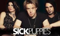 Maybe you would like to learn more about one of these? Sick Puppies Stick To Your Guns Lyrics