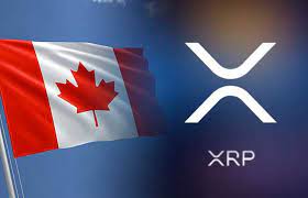 Heading into 2021, buying bitcoin and cryptocurrency in canada can be a difficult process. Ripple S Crypto Coin Xrp Gets Over 130 New Trading Pairs On Canadian Exchange Coinfield