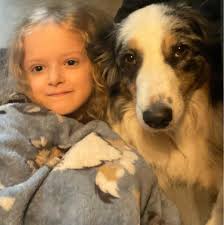 I'm looking for a book, website…something with REAL ideas for a defiant  7-year old. He daily refuses to participate in phonics. He's smart and very  capable. (Constantly says he doesn't care about…insert