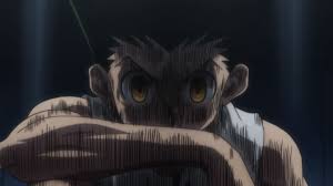 Gon Hunter Mode Hunter Anime Anime Anime Fight