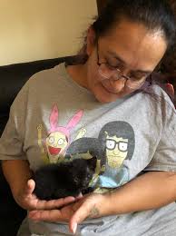 Needed urgently: Nursing mama cat in Hatley MS for one week old abandoned  kitten. Supplementing with kitten formula but I'm afraid my mama cat is  rejecting the orphaned kitten.
