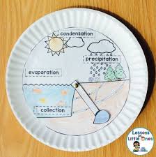 Pin On 1st Grade Science