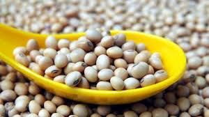 Buah tidak hanya segar dan mengganjal lapar, tapi juga menjadi camilan sehat untuk memenuhi kebutuhan nutrisi harian anda. Kumpulan Bahan Alami Yang Bisa Membantu Menurunkan Kadar Gula Darah Tribun Jogja