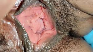 Bhabi chut - XNXX.COM