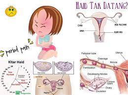 Hal ini berguna bagi anda yang haidnya terlambat 2 bulan hingga 4. Cemara Spa Hq Petua Lancarkan Haid Semula Jadi Masalah Haid Yang Tak Teratur Atau Lambat Bukanlah Isu Luar Biasa Bagi Wanita Yang Anggap Benda Tu Perkara Biasa Kiraan Haid Pulak Adalah