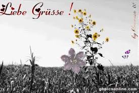 Danke Daizo Liebe Grusse Und Umarmung Aus Der Ferne Zuruck Liebe Grusse Grusse Feiertagsgrusse