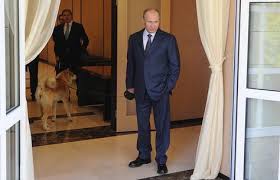 yaponiya hochet podarit putinu eshe odnu sobaku porody akita inu 3 dekabrya 17 02 http tass ru mezhdunarodnaya panorama 3838547 moskau