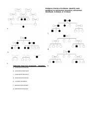 With the worksheet, students may realize the topic subject as a whole more easily. W Pedigreepracticeproblems2 1 Pedigree Practice Problems Identify Each Pedigree As Autosomal Recessive Autosomal Dominant X Linked Or Y Linked Course Hero