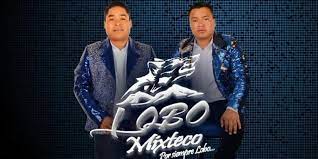 Muere vocalista de 'Lobo Mixteco' tras accidente automovilístico, ¿Qué le  pasó? - La Razón de México
