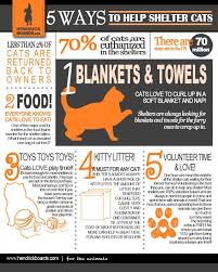 Pin By Susan Naylor On Infographics Animal Shelter Donations Animal Rescue Ideas Cat Shelter