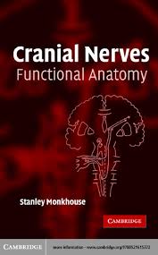 Internal carotid arter y in foramen lacerum, runs along. Cranial Nerves Functional Anatomy 2005 By Neurociencias Upaep Issuu