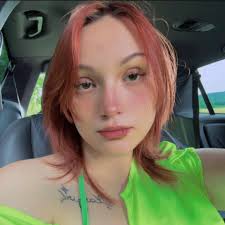 Who hit and ran in Baxter County, Arkansas