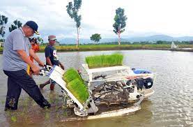 Demikian penjelasan harga mesin tanam padi yang dapat kami paparkan kepada anda saat ini. Petani Diperkenalkan Dengan Mesin Tanam Padi Portal Berita Online Dompu